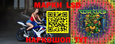 спайс Кунгур