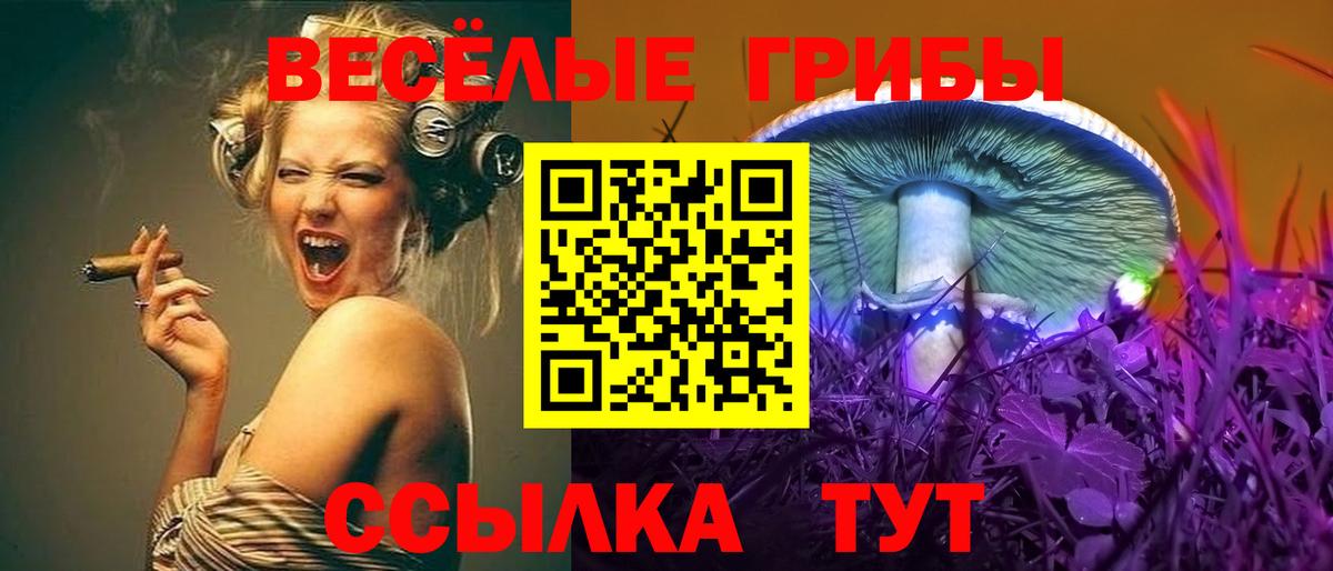 Псилоцибиновые грибы MAGIC MUSHROOMS  Вход с VPN  Тамбов  Галлюциногенные грибы Psilocybe 